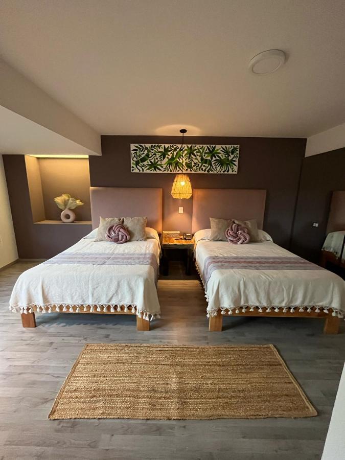 Zen Suites By Regente Oaxaca Bagian luar foto