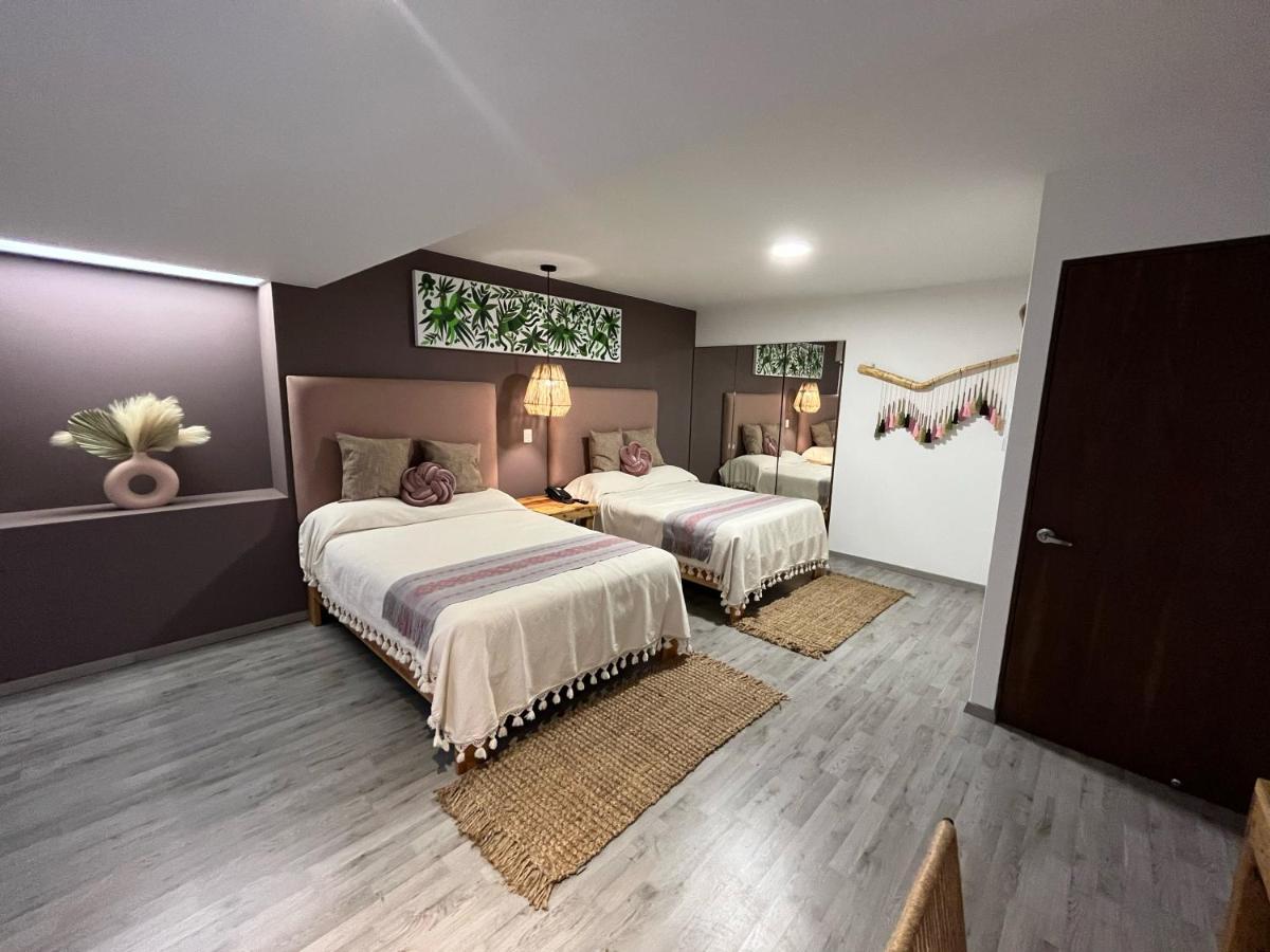 Zen Suites By Regente Oaxaca Bagian luar foto