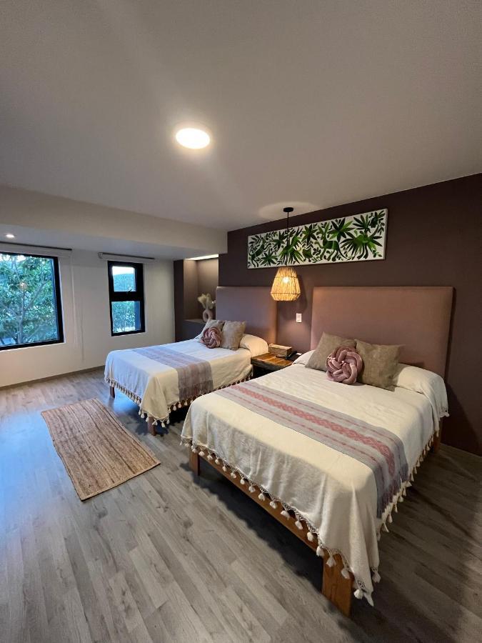 Zen Suites By Regente Oaxaca Bagian luar foto